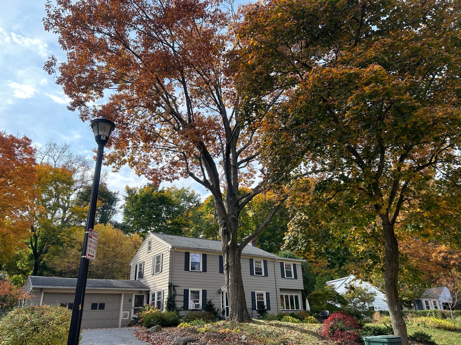 tree trimming